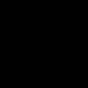 Meet your Posher, Mariah